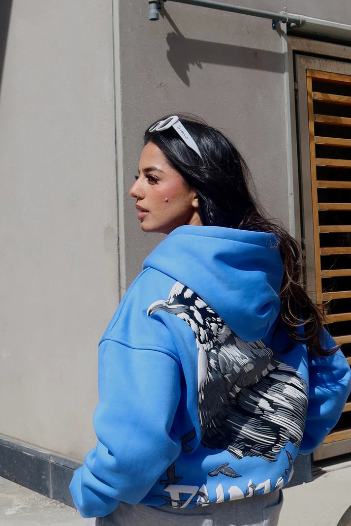 Punjab Sparrow Oversized Hoodie