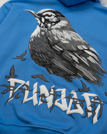 Punjab Sparrow Oversized Hoodie