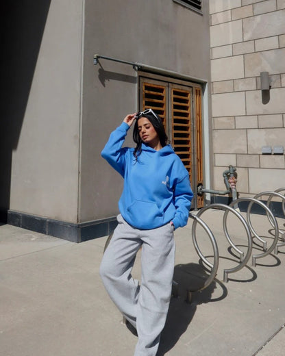 Punjab Sparrow Oversized Hoodie